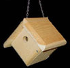 bf_CS10047_wrens.jpg